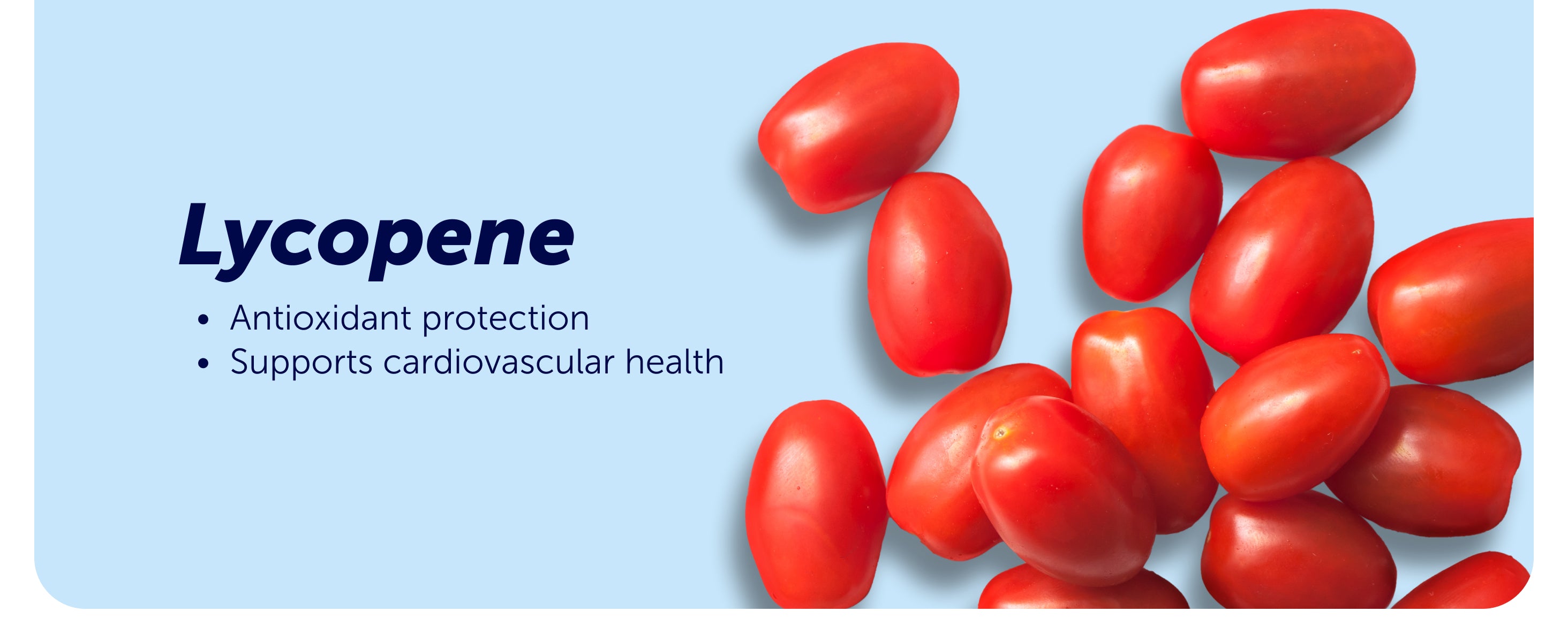 VIVIOPTAL PROTECT 60 SOFTGELS