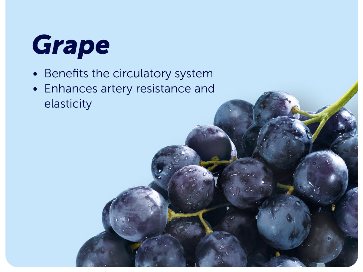 VIVIOPTAL PROTECT 60 SOFTGELS