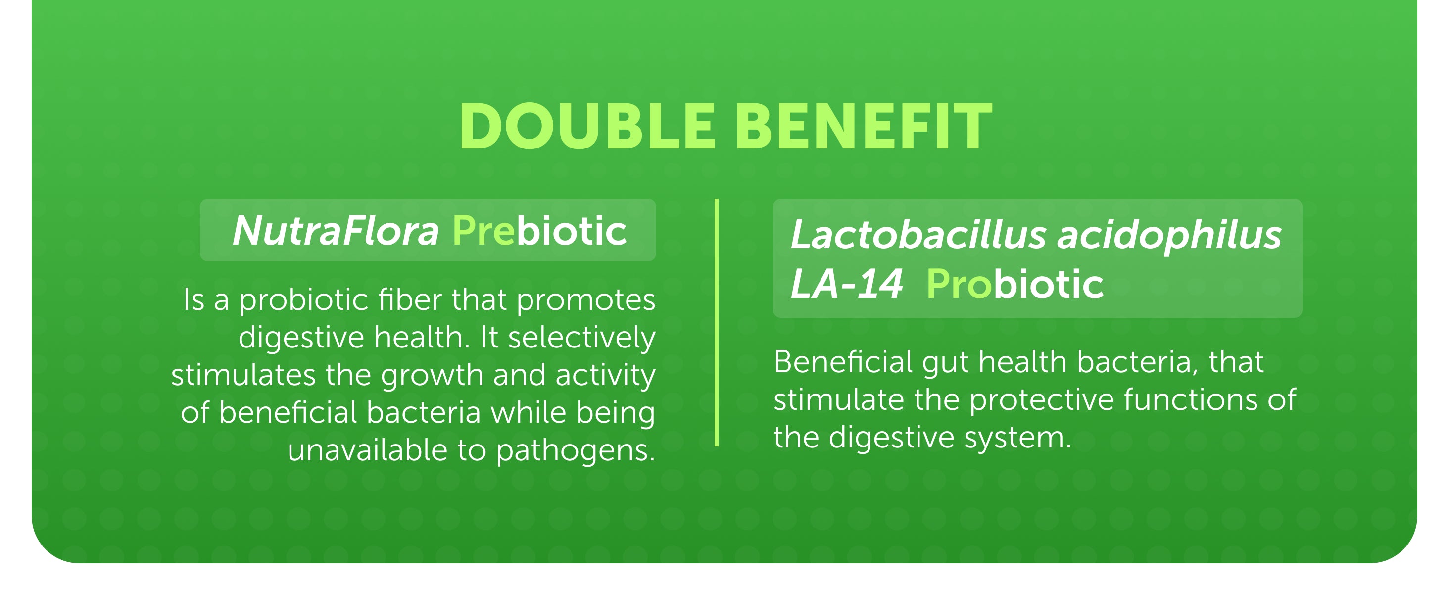 PROBVIOPTAL 1 YEAR SUPPLY