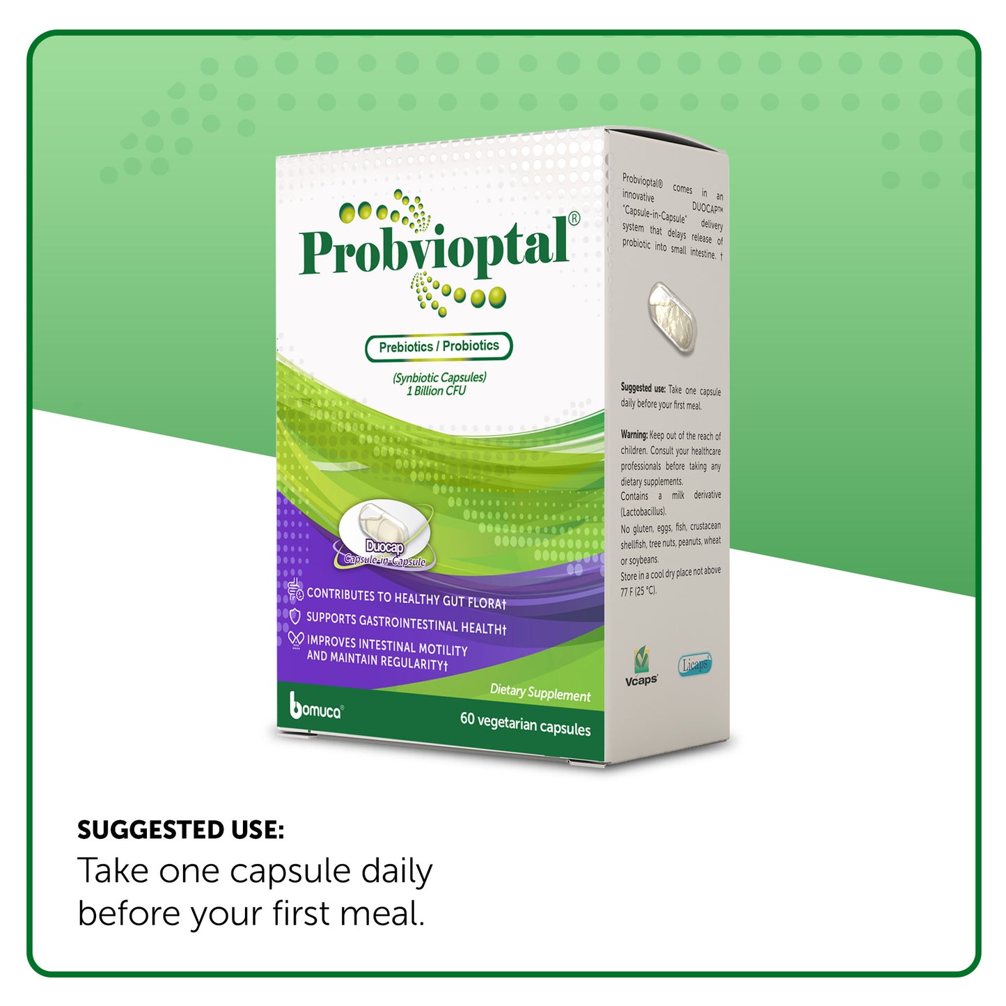 PROBVIOPTAL 60 CAPSULES