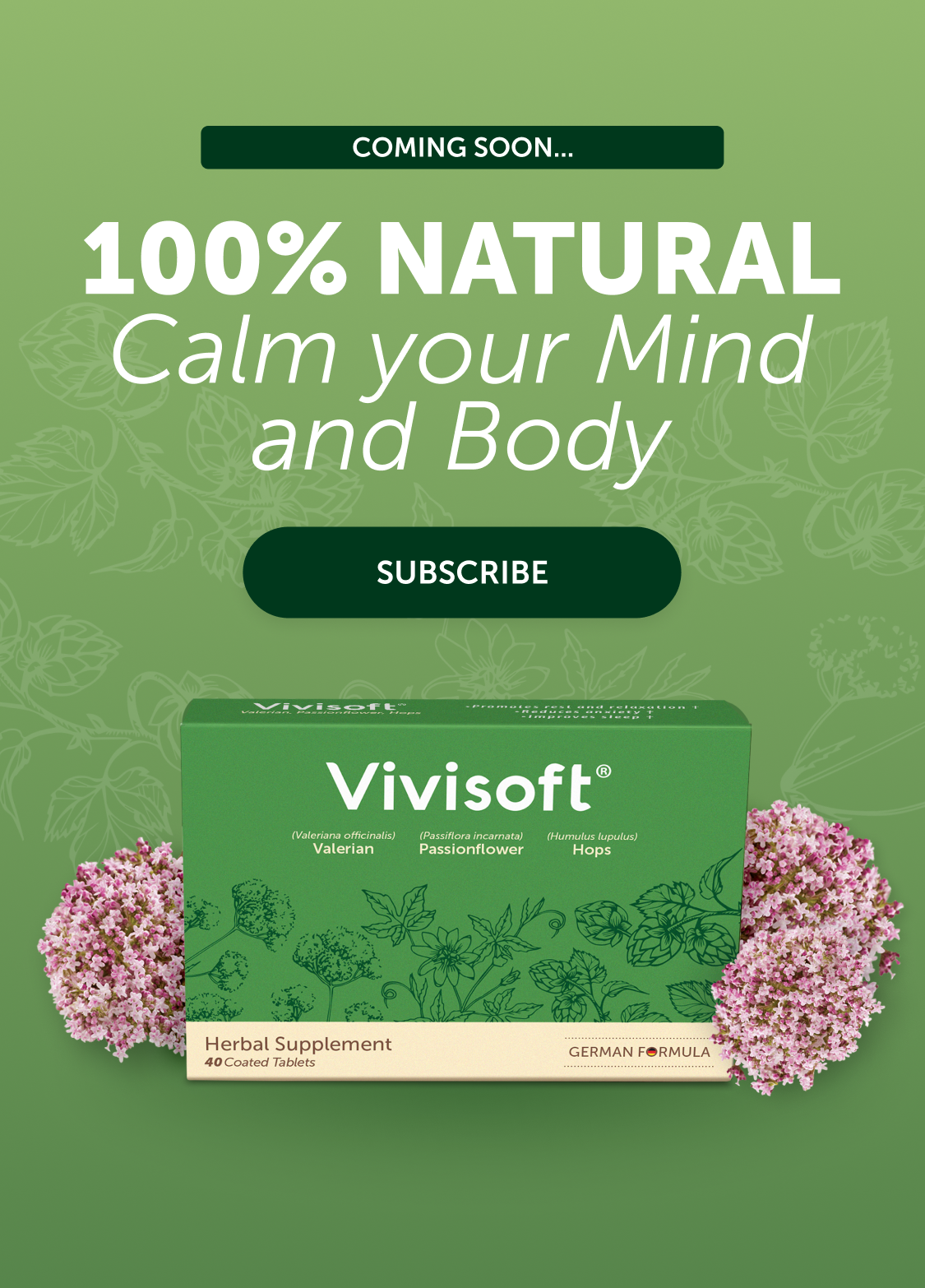 files/Vivisoft.png