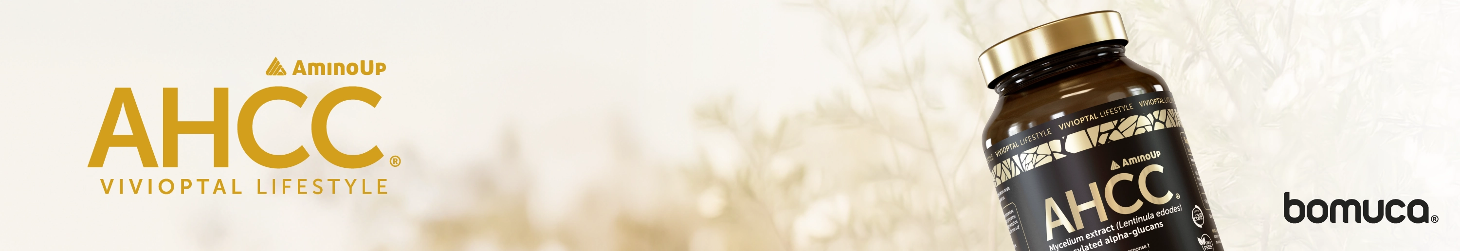 Banner Desktop